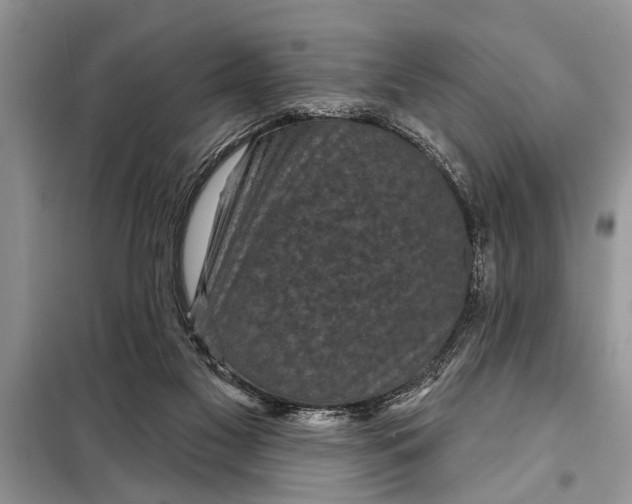 X0000097950117200804071015