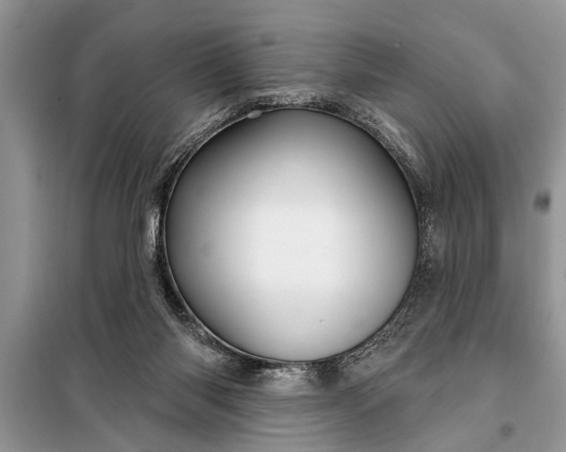 X0000097950118200804071015