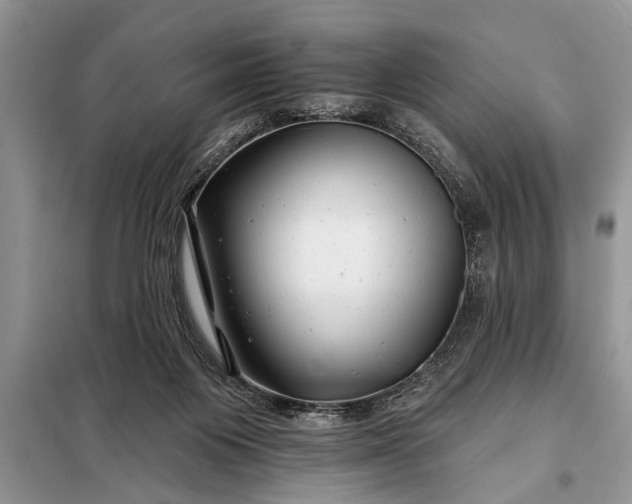 X0000097950119200804071015