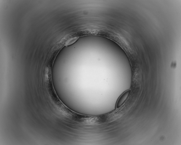 X0000097950122200804071015