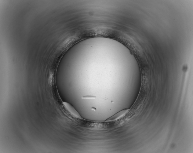 X0000097950123200804071015