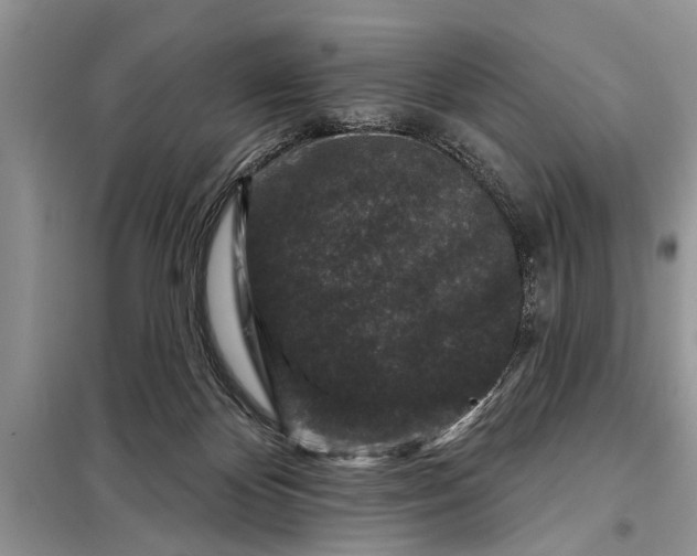 X0000097950124200804071015