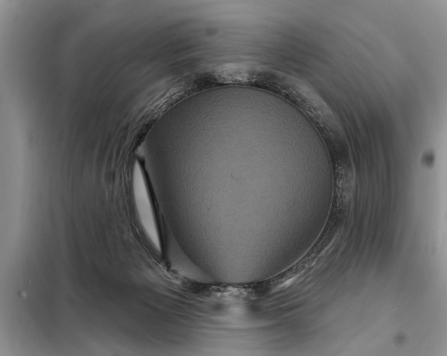 X0000097950125200804071015