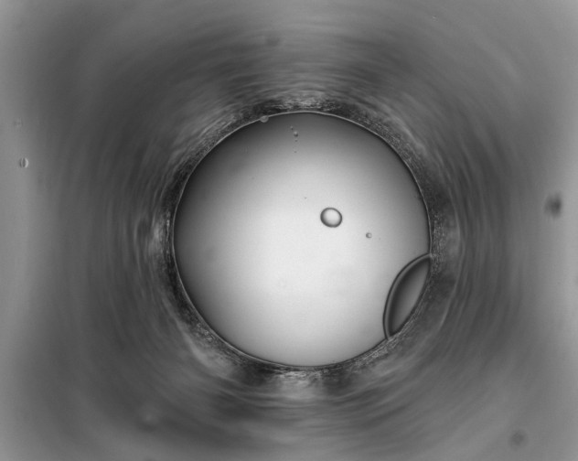 X0000097950126200804071015