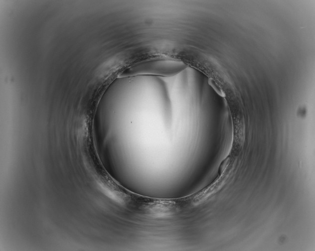 X0000097950128200804071015