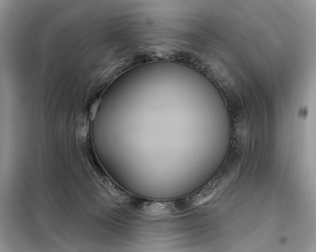 X0000097950129200804071015
