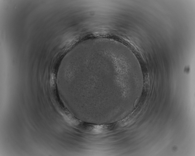 X0000097950130200804071015