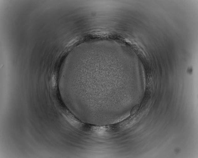X0000097950131200804071015