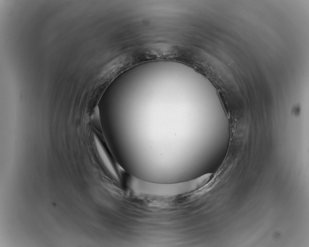 X0000097950132200804071015