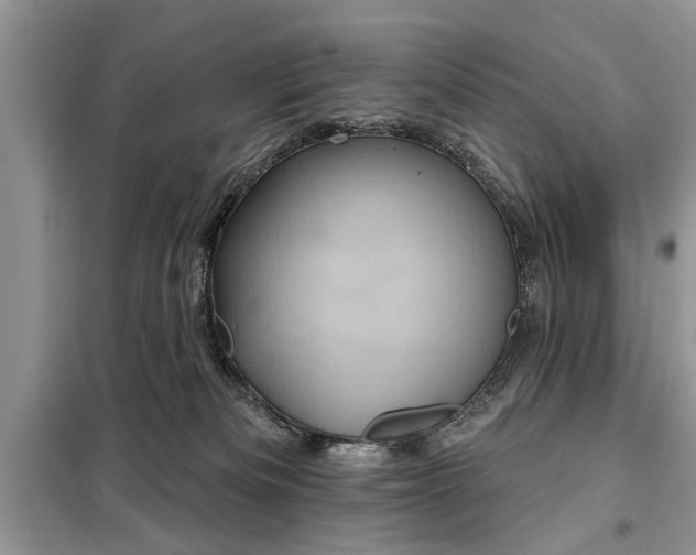 X0000097950133200804071015