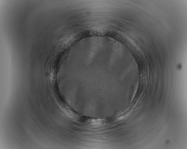 X0000097950134200804071015