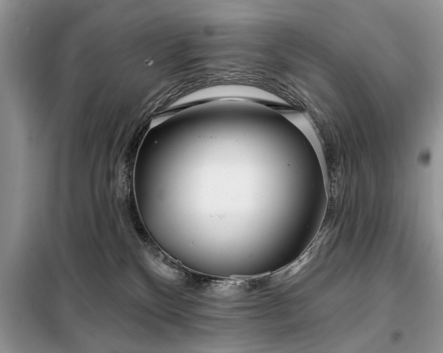 X0000097950136200804071015