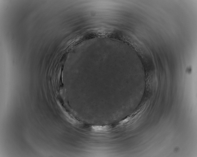 X0000097950137200804071015