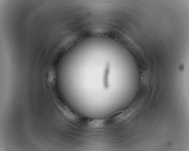 X0000097950138200804071015