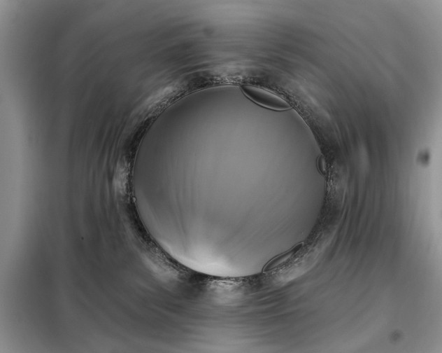 X0000097950139200804071015