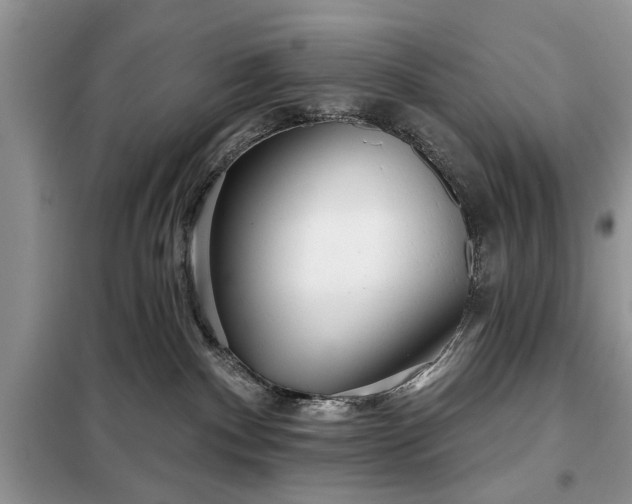 X0000097950140200804071015