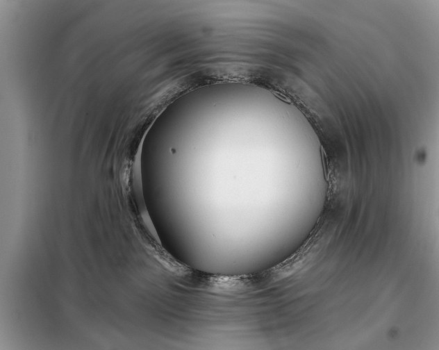 X0000097950141200804071015