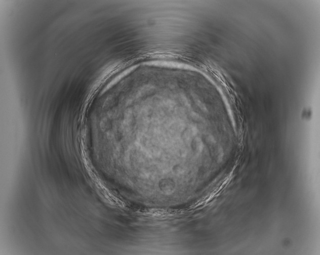 X0000097950145200804071014