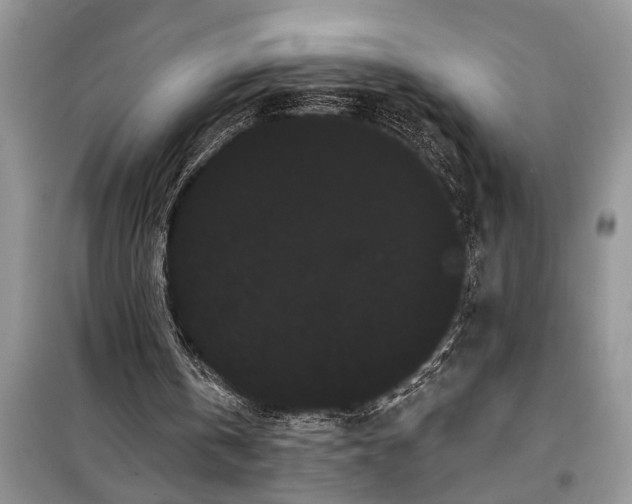 X0000097950146200804071014