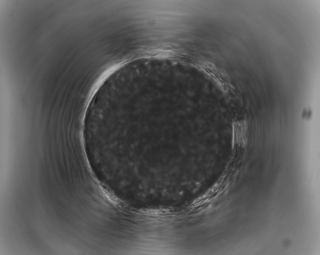 X0000097950147200804071014