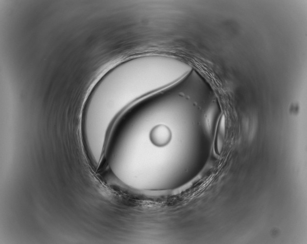 X0000097950148200804071014