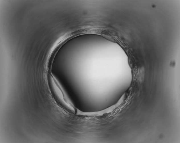 X0000097950150200804071014
