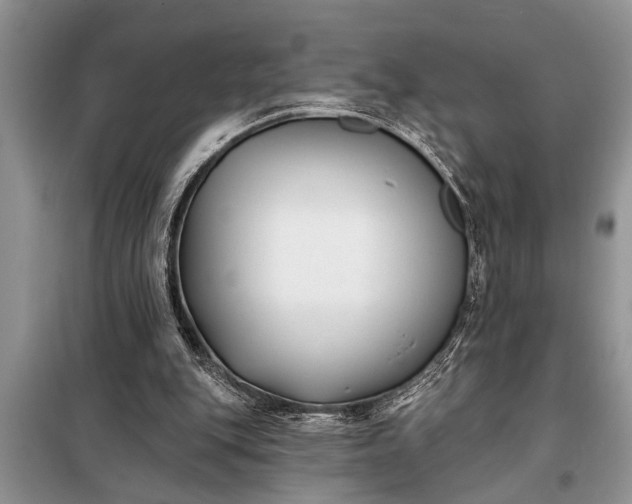 X0000097950151200804071014