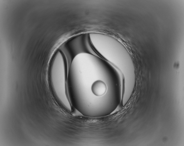 X0000097950152200804071014