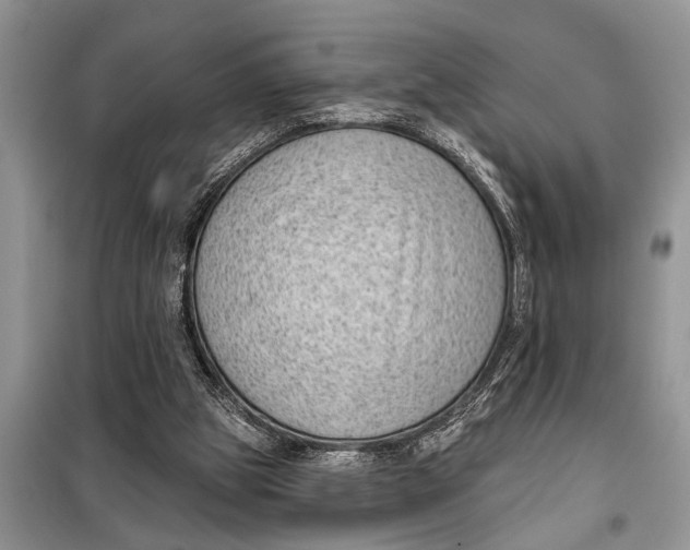 X0000097950153200804071014