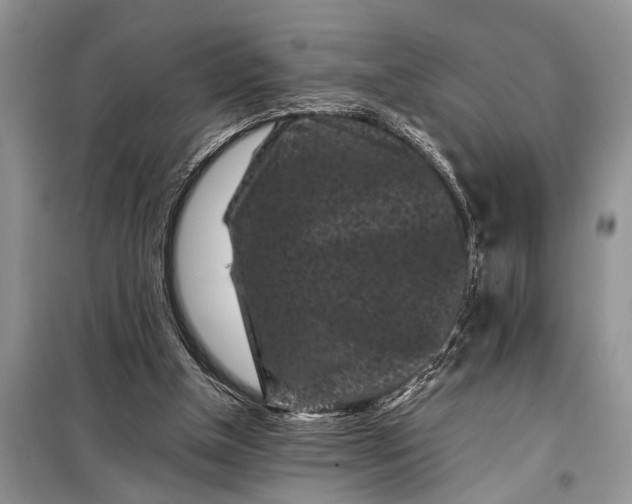X0000097950154200804071014