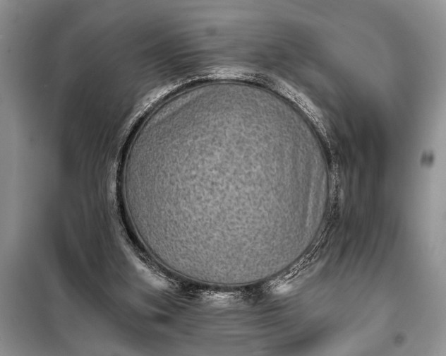 X0000097950155200804071014