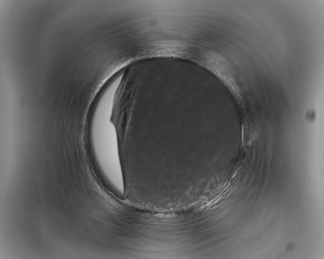 X0000097950156200804071014