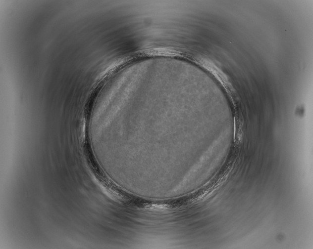 X0000097950157200804071014
