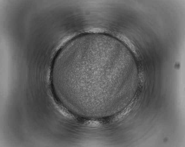 X0000097950159200804071014
