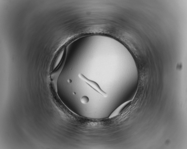 X0000097950160200804071014
