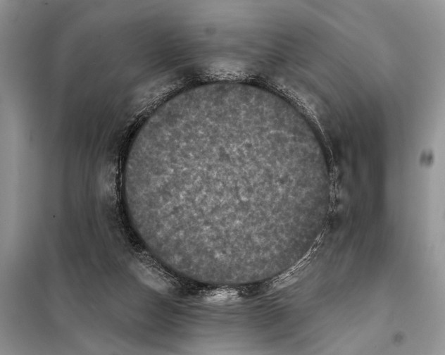 X0000097950162200804071014