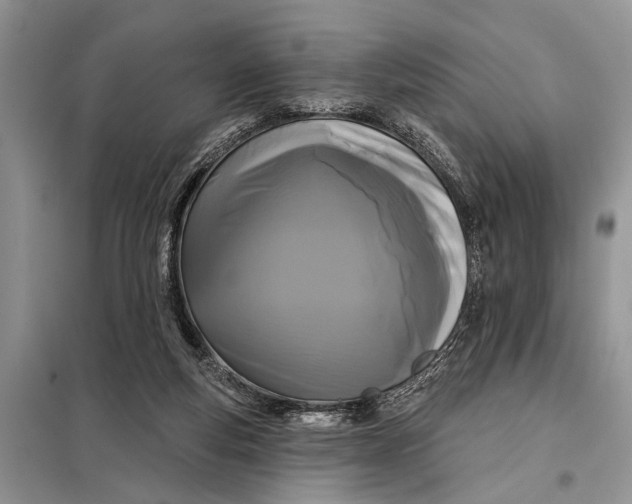 X0000097950163200804071014