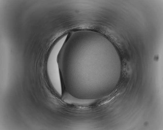 X0000097950164200804071014