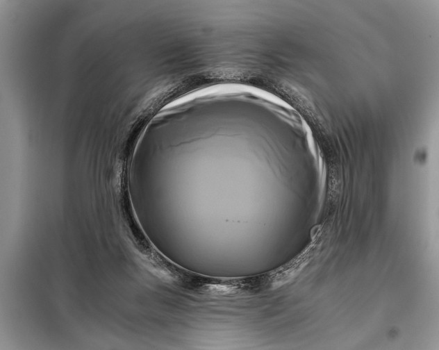 X0000097950167200804071014