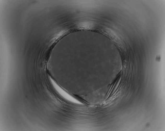 X0000097950168200804071014
