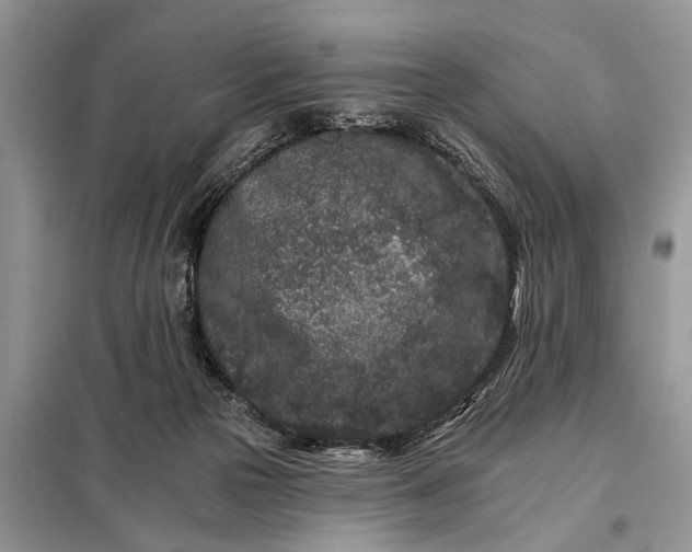 X0000097950169200804071014