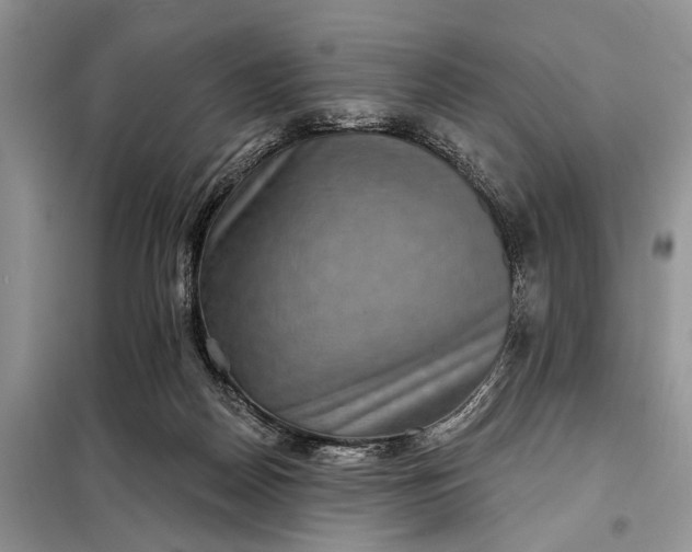 X0000097950170200804071014