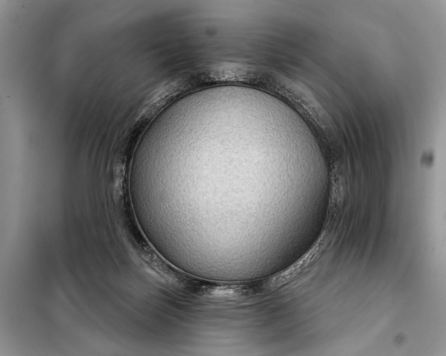 X0000097950171200804071014