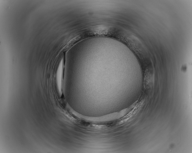 X0000097950172200804071014