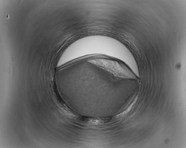 X0000097950174200804071014