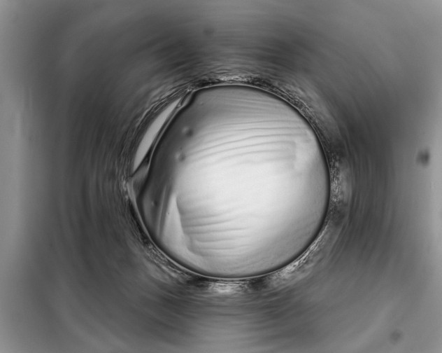 X0000097950175200804071014