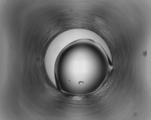X0000097950176200804071014