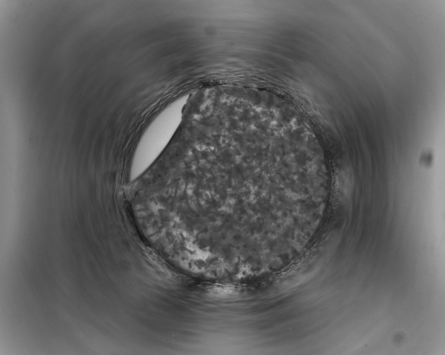 X0000097950177200804071014
