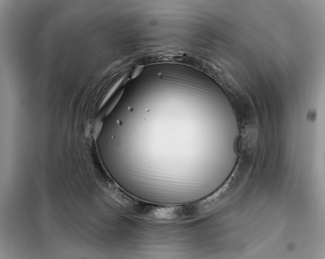 X0000097950178200804071014