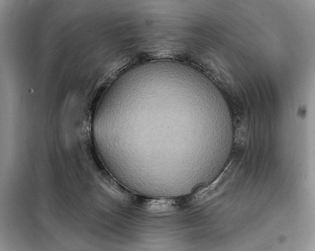 X0000097950179200804071014